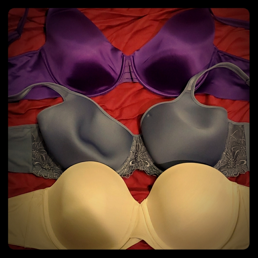 Lot of 3 Size 38 DD Bras